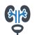 Urology