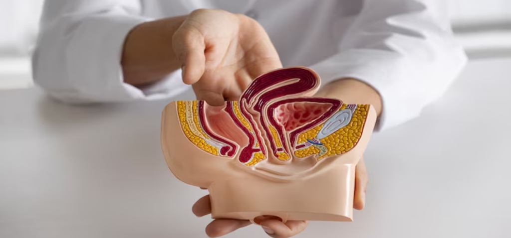 Urology