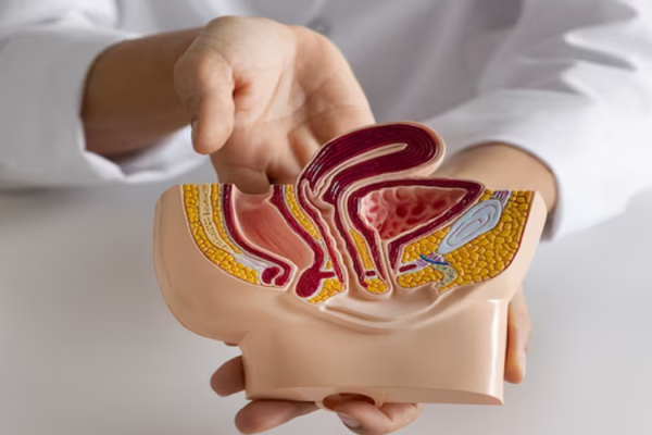 Urology